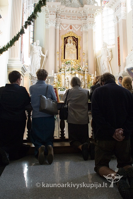 20120914 silines 0153 sk