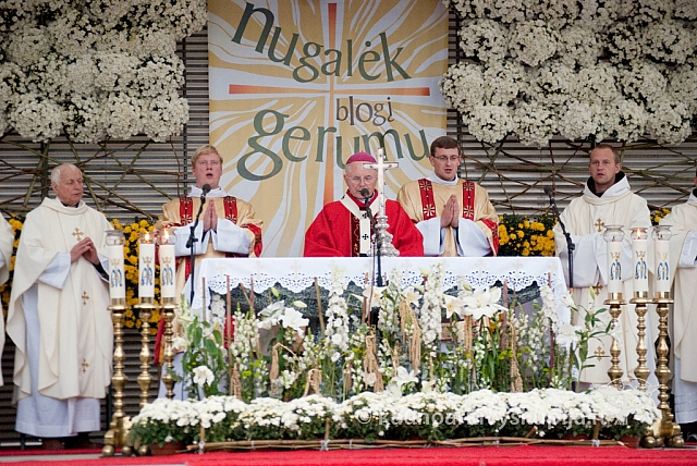 20120914 silines 3061 ms