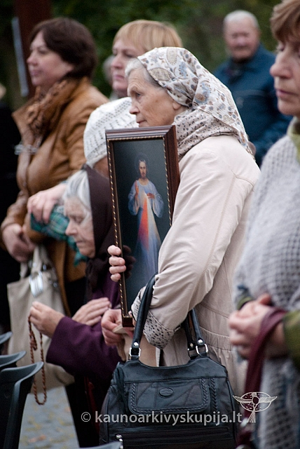 20120914 silines 3067 ms