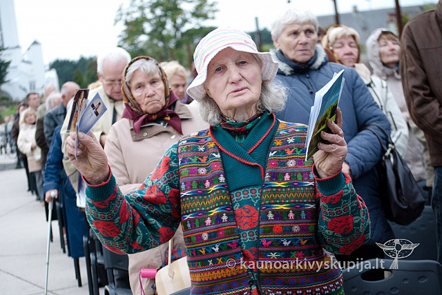 20120914 silines 3071 ms