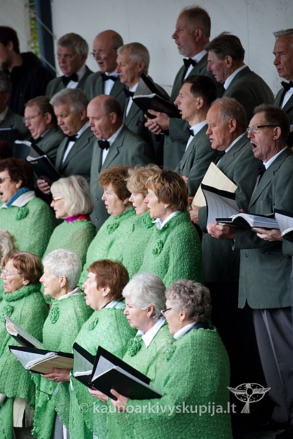 20120915 silines 0220 ms