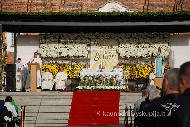 20120915 silines 0250 dch