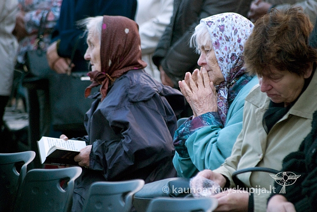 20120915 silines 3432 ms