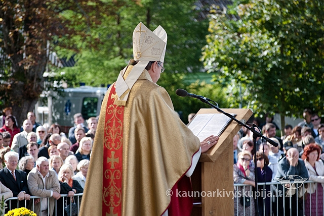 20120916 silines 3582 ms