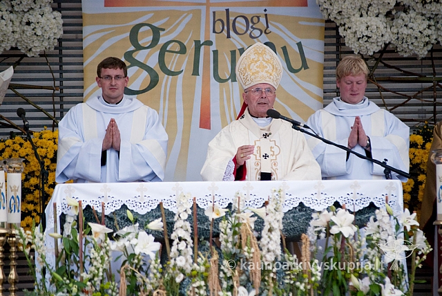 20120916 silines 3641 ms