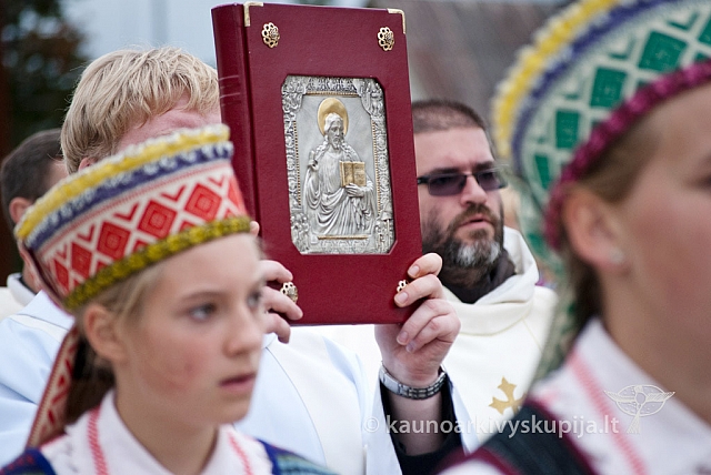 20120916 silines 3662 ms