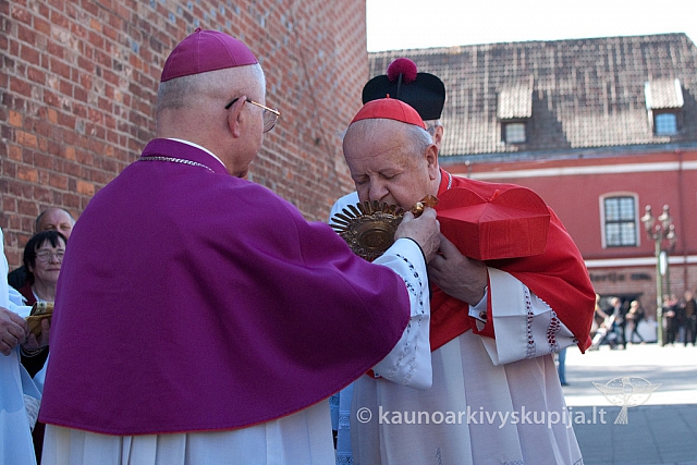 20130505 kn-k600 0039 ms