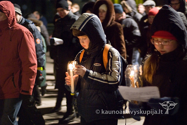 2013 kryziaus-k 0113 sk