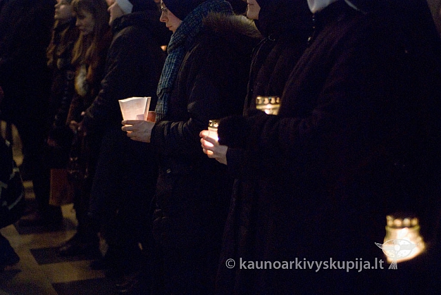 2013 kryziaus-k 0186 sk