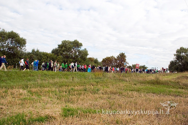 20130825 silines 0058 sk