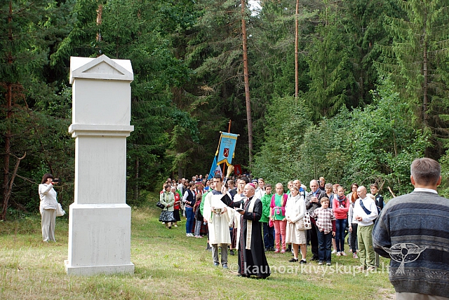 20130825 silines 1061 sk