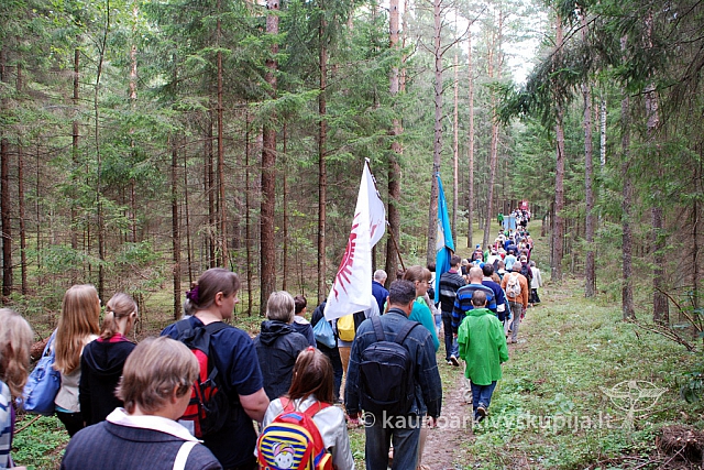 20130825 silines 1071 sk