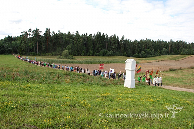 20130825 silines 1098 sk