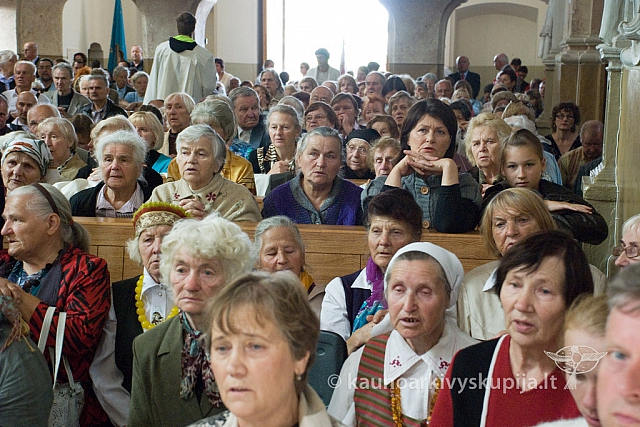 20130825 silines 1151 sk