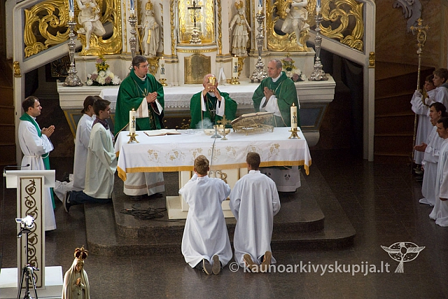 20130825 silines 1185 sk