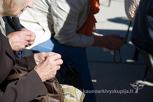 20130907 silines 0009 sk