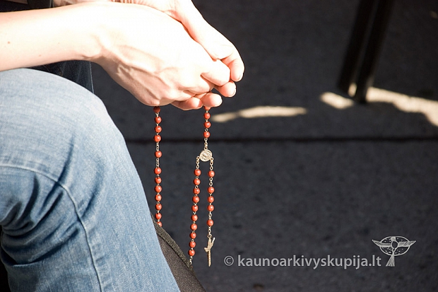 20130907 silines 0011 sk