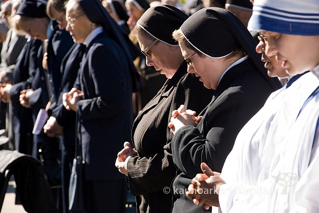 20130907 silines 0051 sk