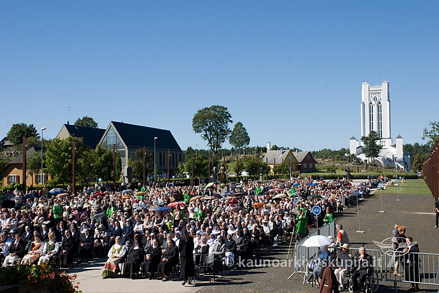 20130907 silines 0070 sk