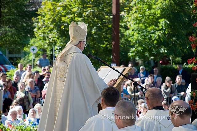 20130907 silines 0075 sk