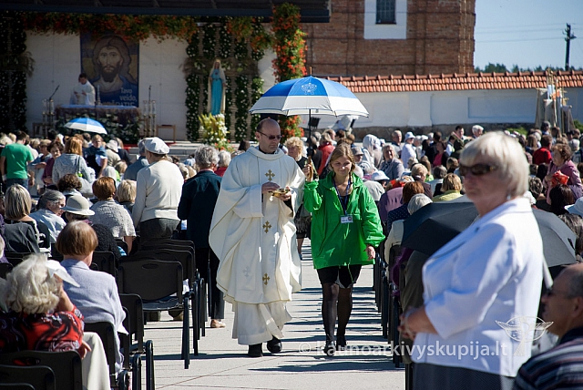 20130907 silines 0110 sk