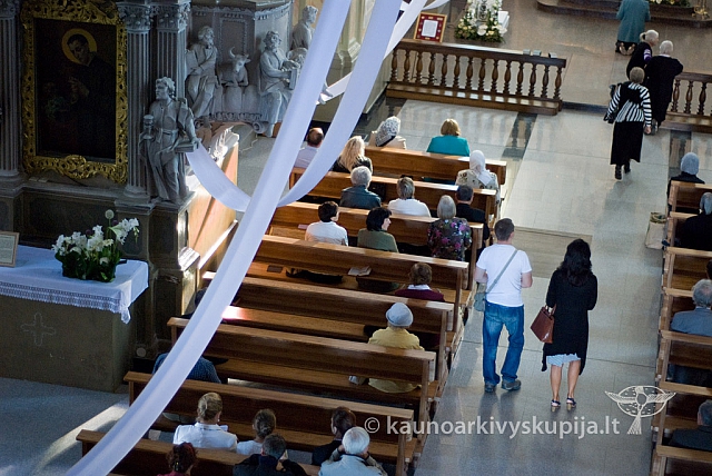 20130908 silines 0204 sk