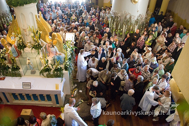 20130908 silines 0215 sk