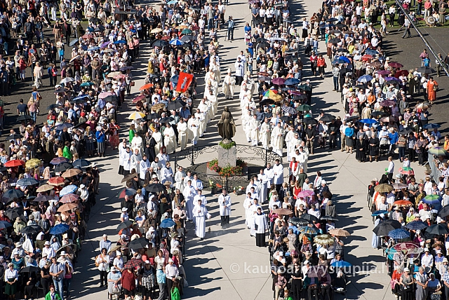 20130908 silines 0247 sk