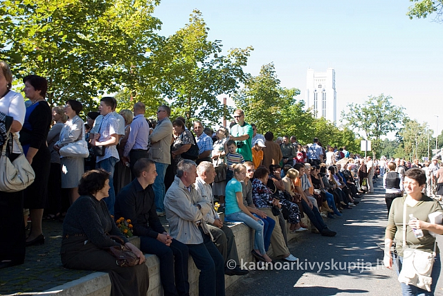 20130908 silines 0275 sk