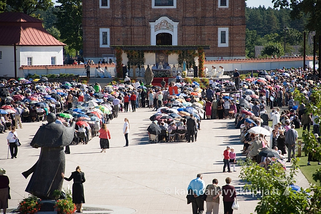 20130908 silines 0292 sk