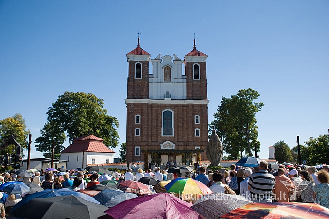 20130908 silines 0312 sk