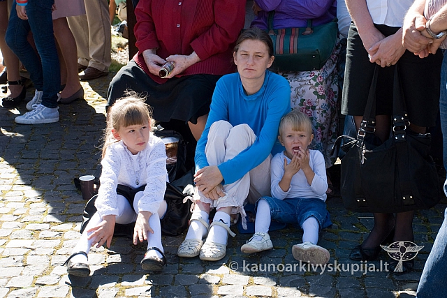 20130908 silines 0314 sk