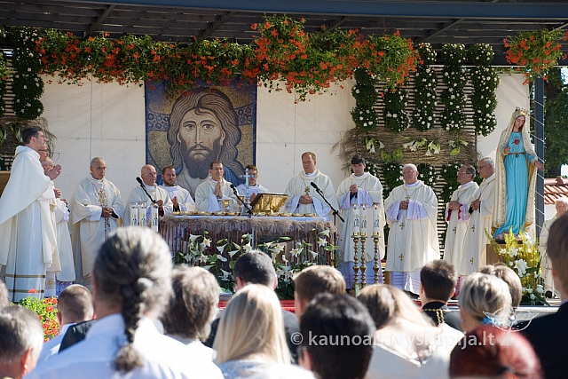 20130908 silines 0330 sk