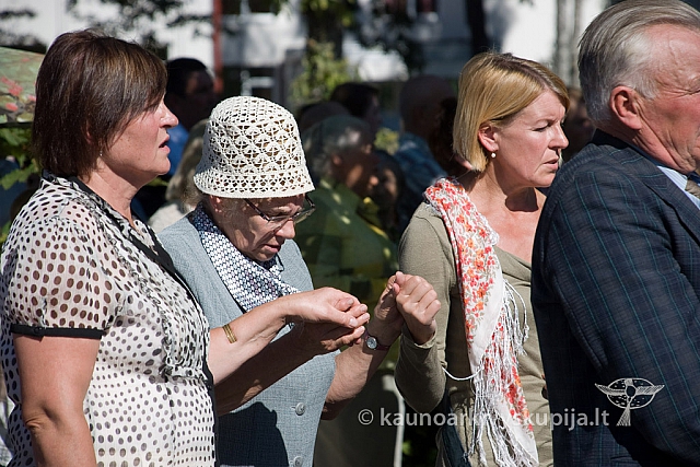 20130908 silines 0351 sk