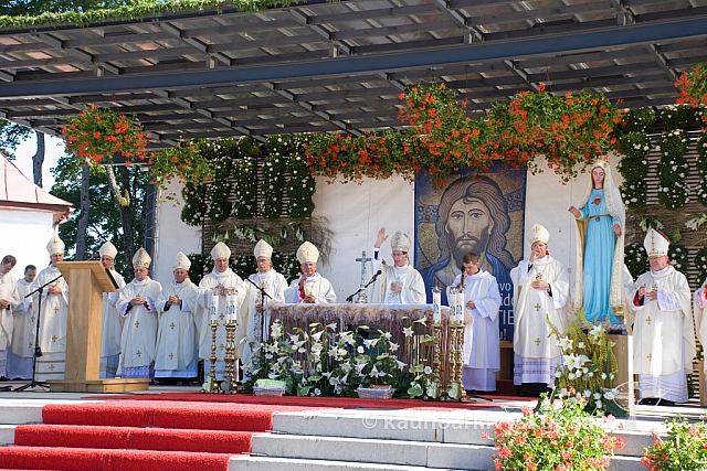 20130908 silines 0375 sk