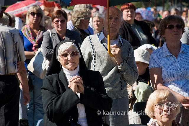 20130908 silines 0380 sk