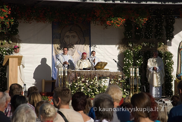 20130908 silines 0476 sk