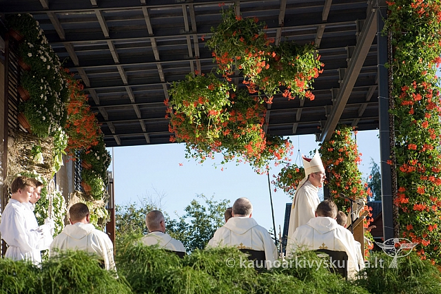 20130908 silines 0489 sk