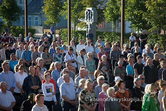 20130908 silines 0497 sk