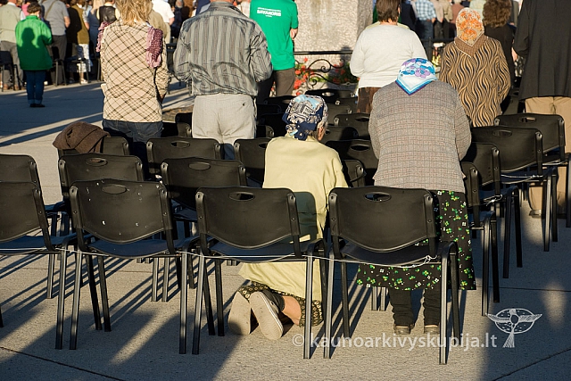 20130908 silines 0515 sk