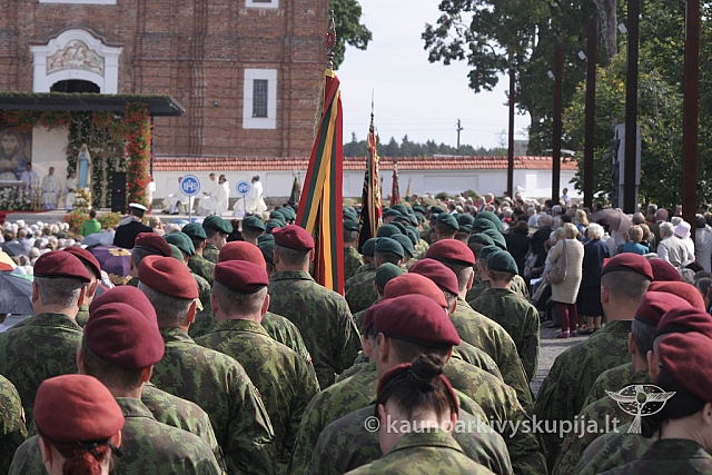 20130910 silines 6311