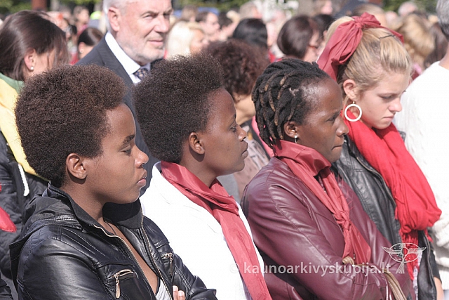 20130912 silines 7013