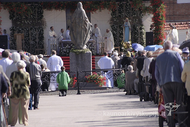 20130912 silines 7041