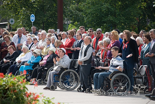 20130913 silines 0052 sk