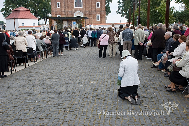 20130913 silines 0056 sk