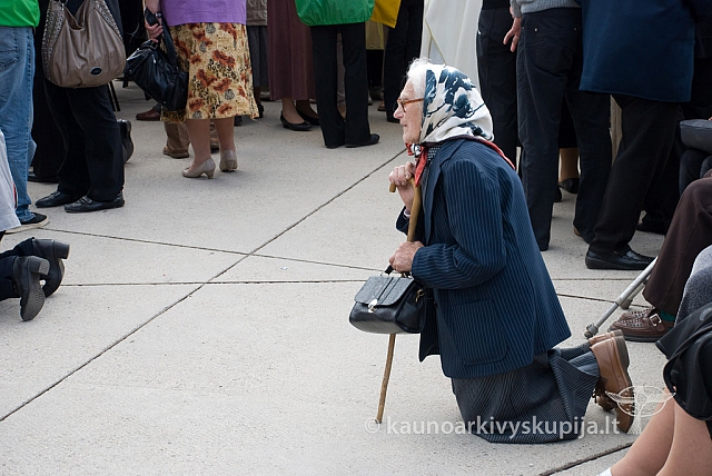 20130913 silines 0063 sk