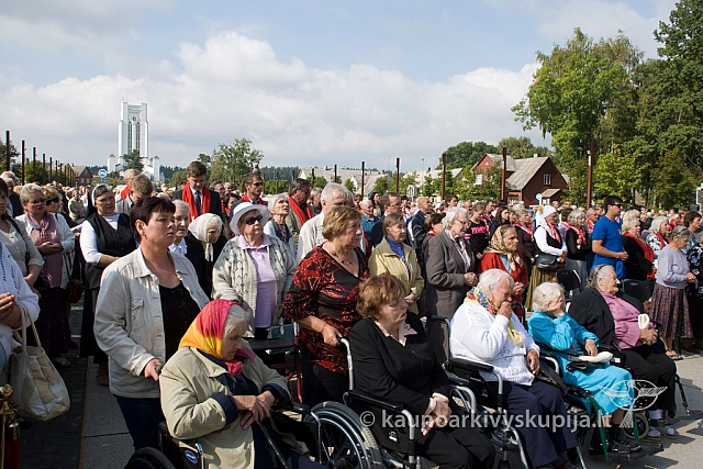 20130913 silines 0072 sk