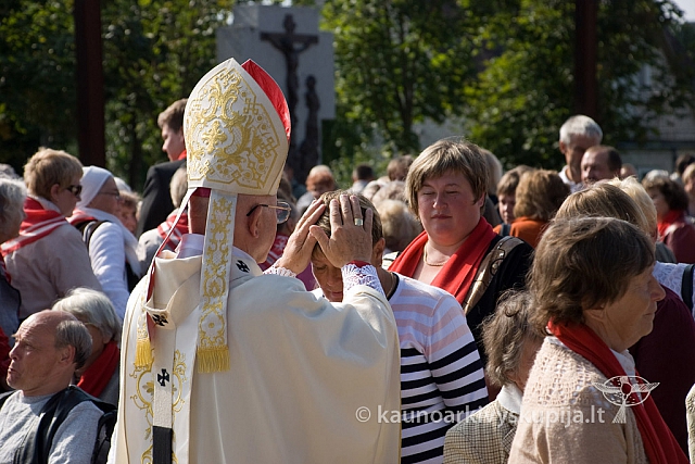 20130913 silines 0087 sk