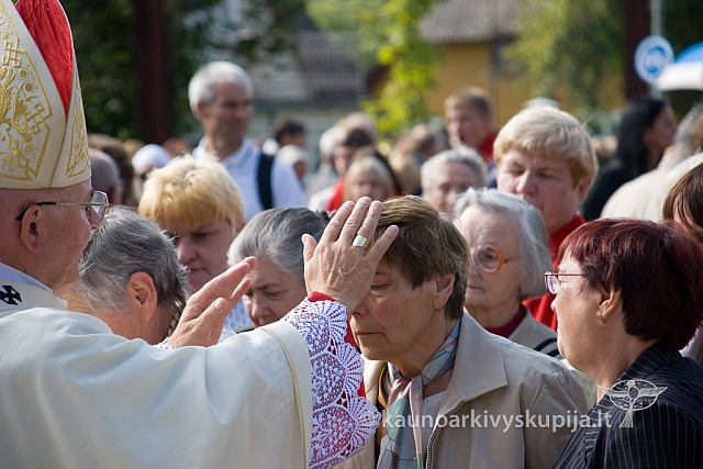 20130913 silines 0089 sk