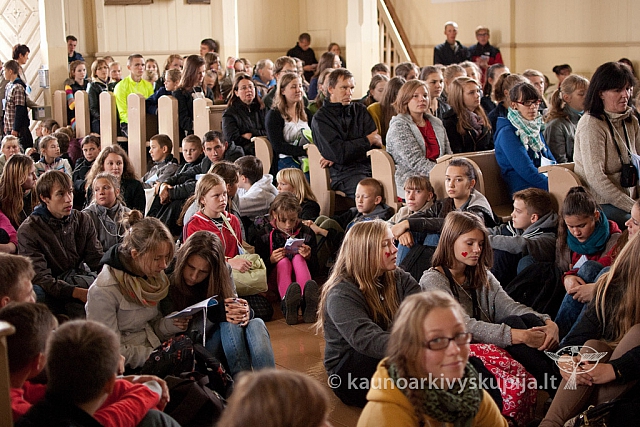 20130914 silines 1032 ms